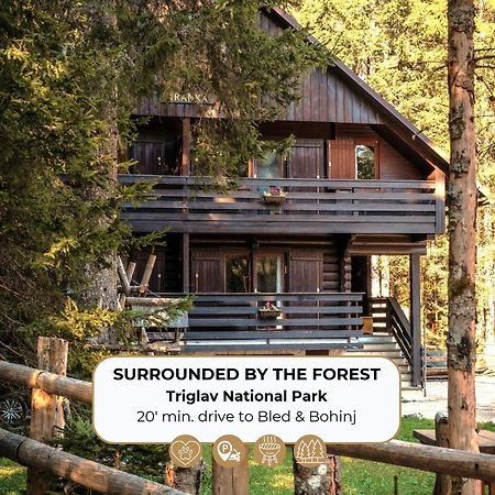 Forest Apartments Pokljuka Zgornje Gorje Εξωτερικό φωτογραφία