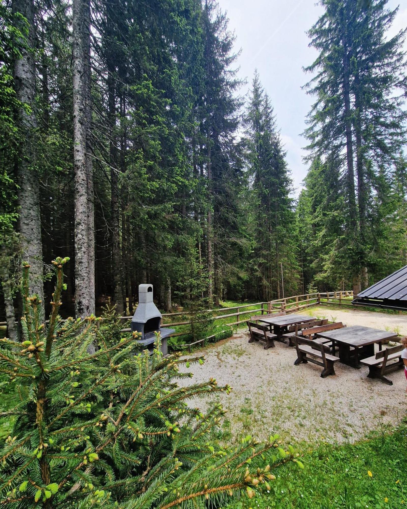 Forest Apartments Pokljuka Zgornje Gorje Εξωτερικό φωτογραφία