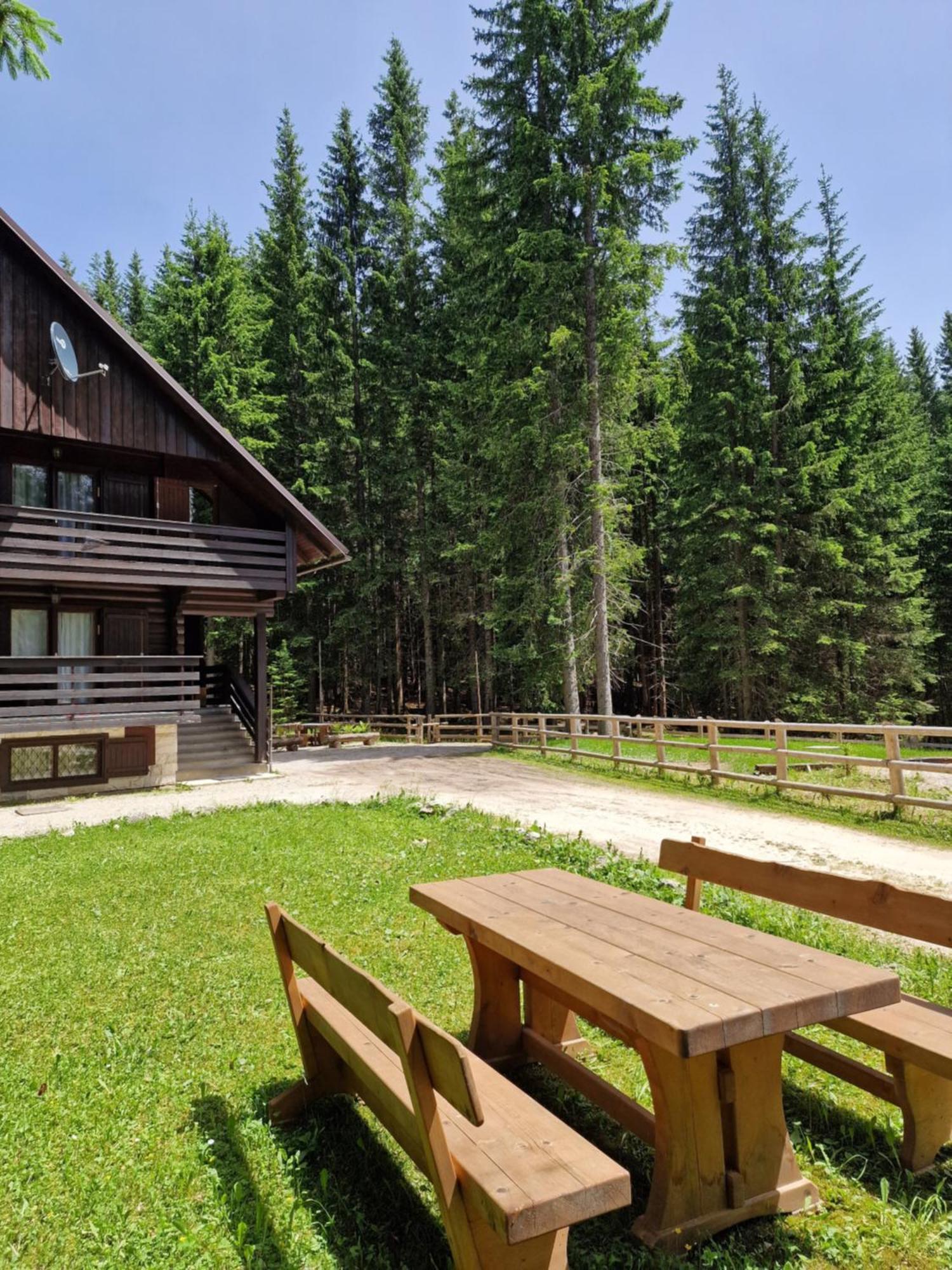 Forest Apartments Pokljuka Zgornje Gorje Εξωτερικό φωτογραφία