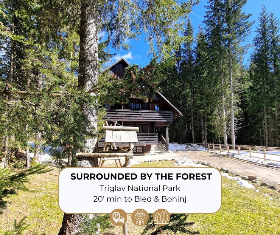 Forest Apartments Pokljuka Zgornje Gorje Εξωτερικό φωτογραφία