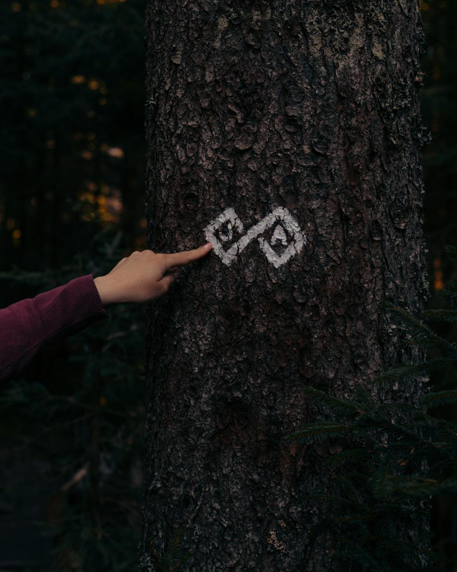Forest Apartments Pokljuka Zgornje Gorje Εξωτερικό φωτογραφία