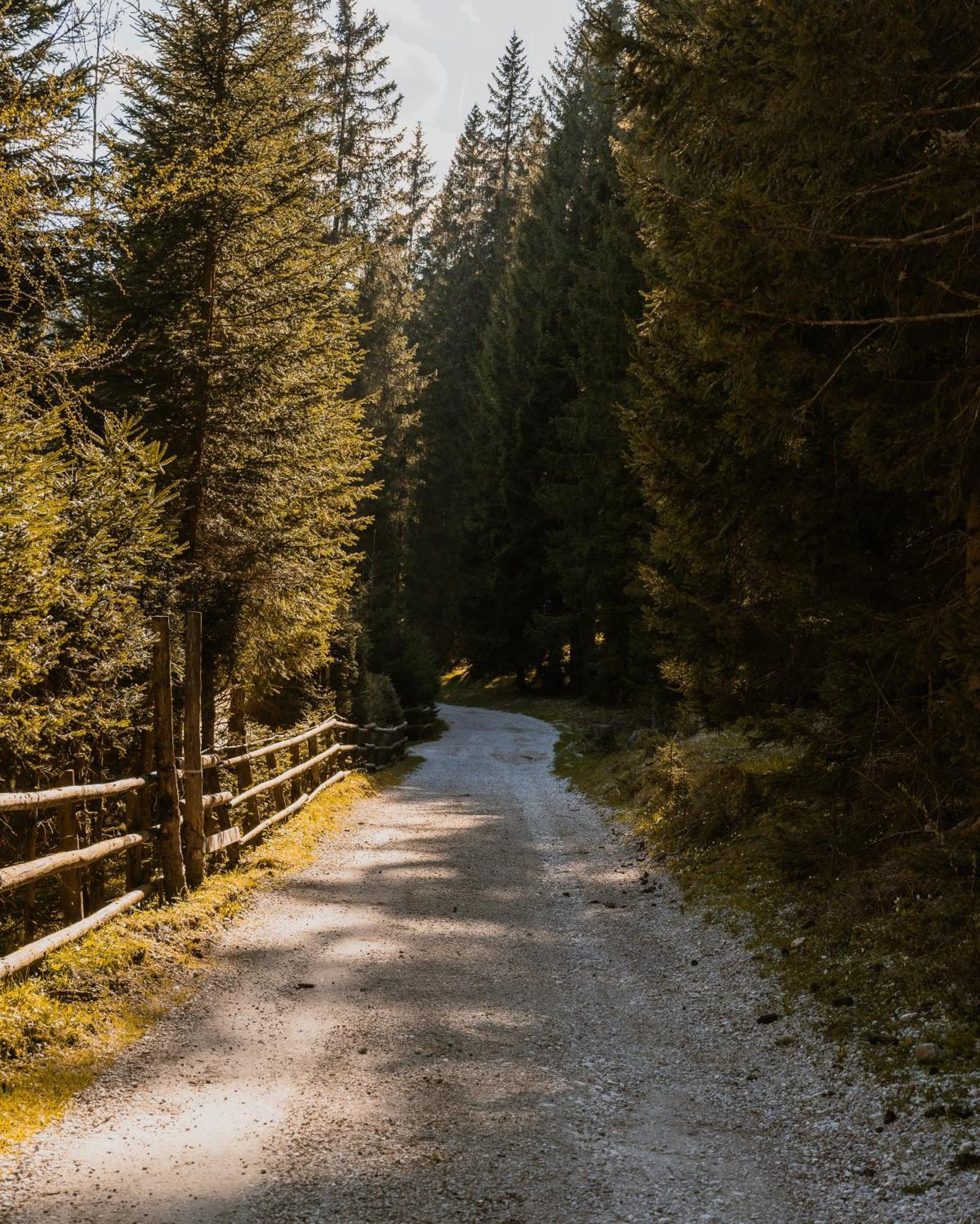 Forest Apartments Pokljuka Zgornje Gorje Εξωτερικό φωτογραφία